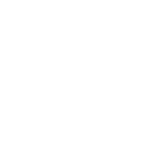 Expert Technicians